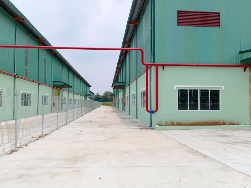 Ảnh 4