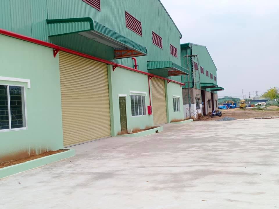 Ảnh 5