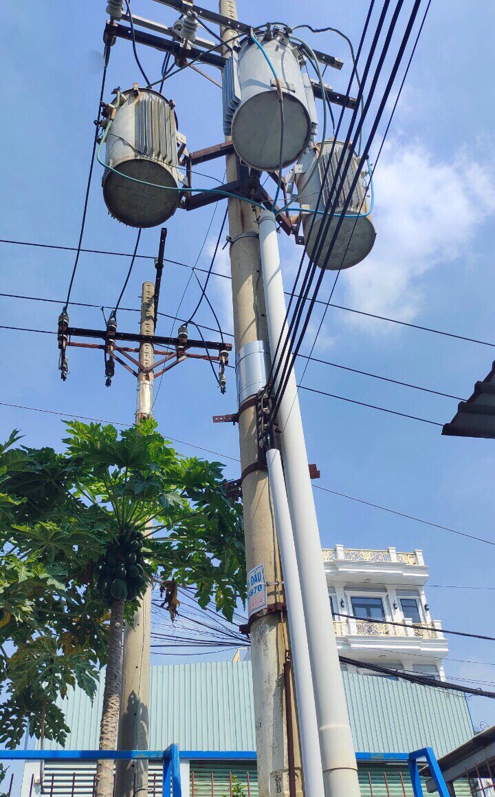 Ảnh 3
