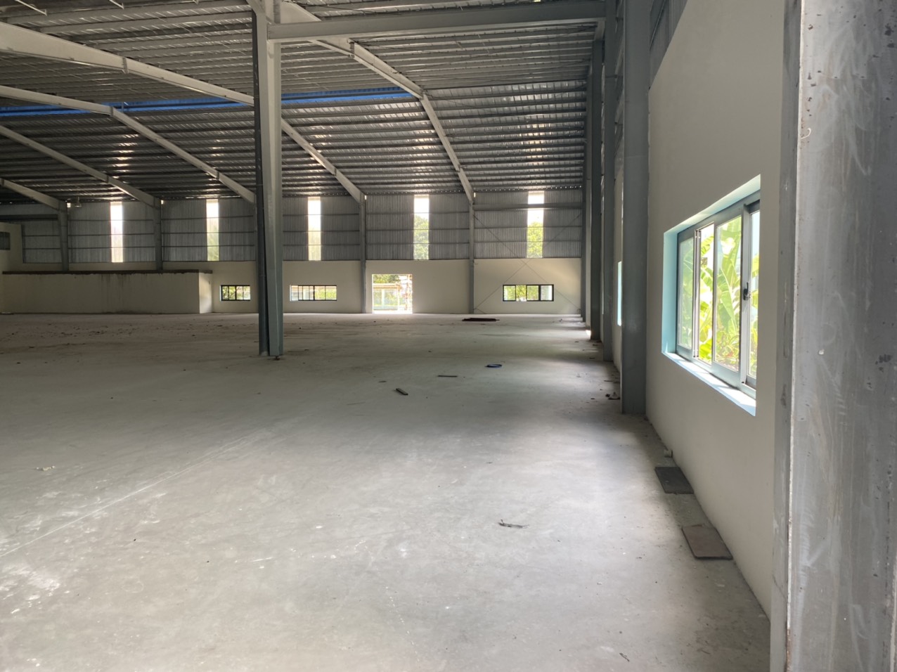 Ảnh 8