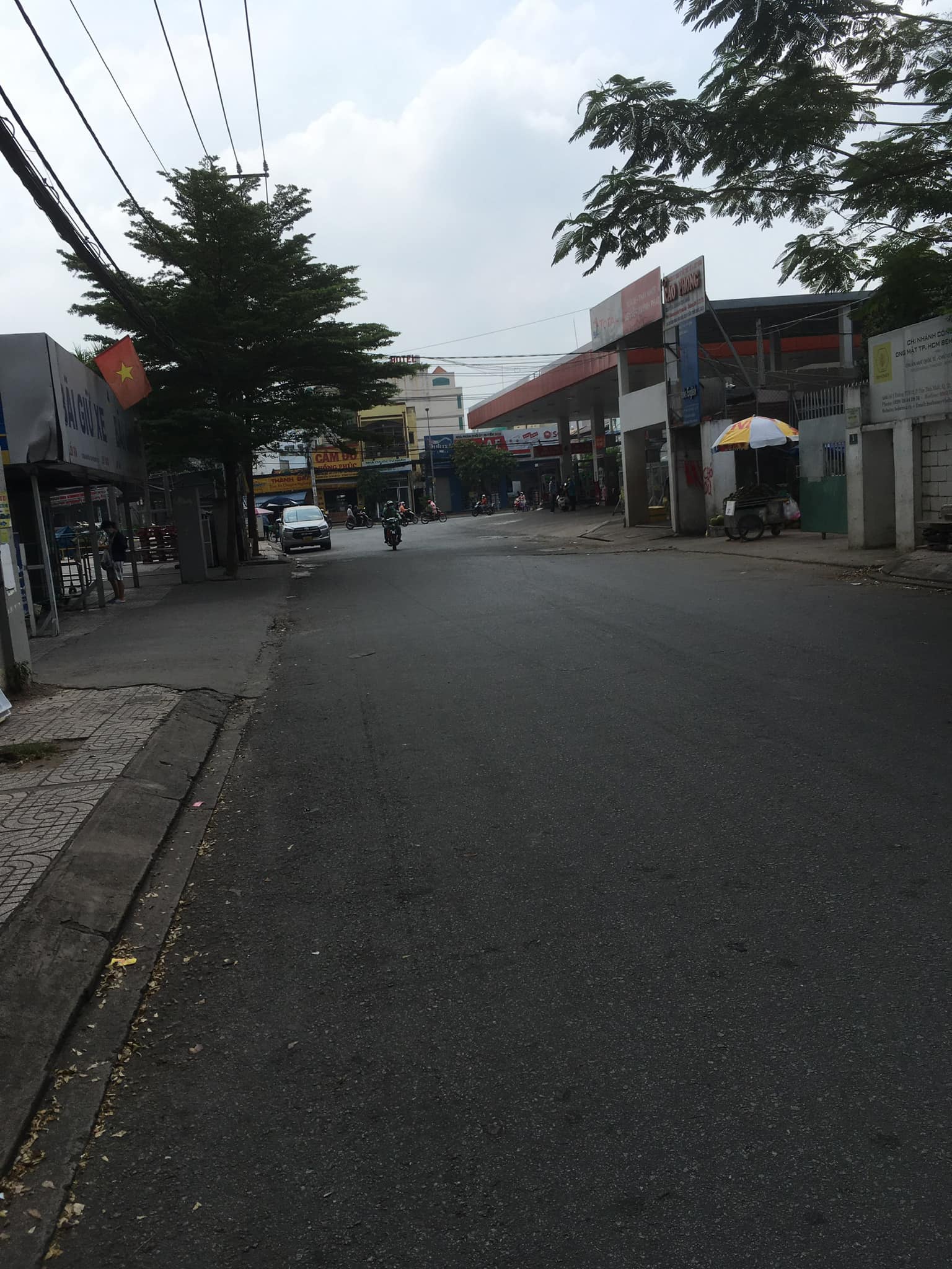 Ảnh 6