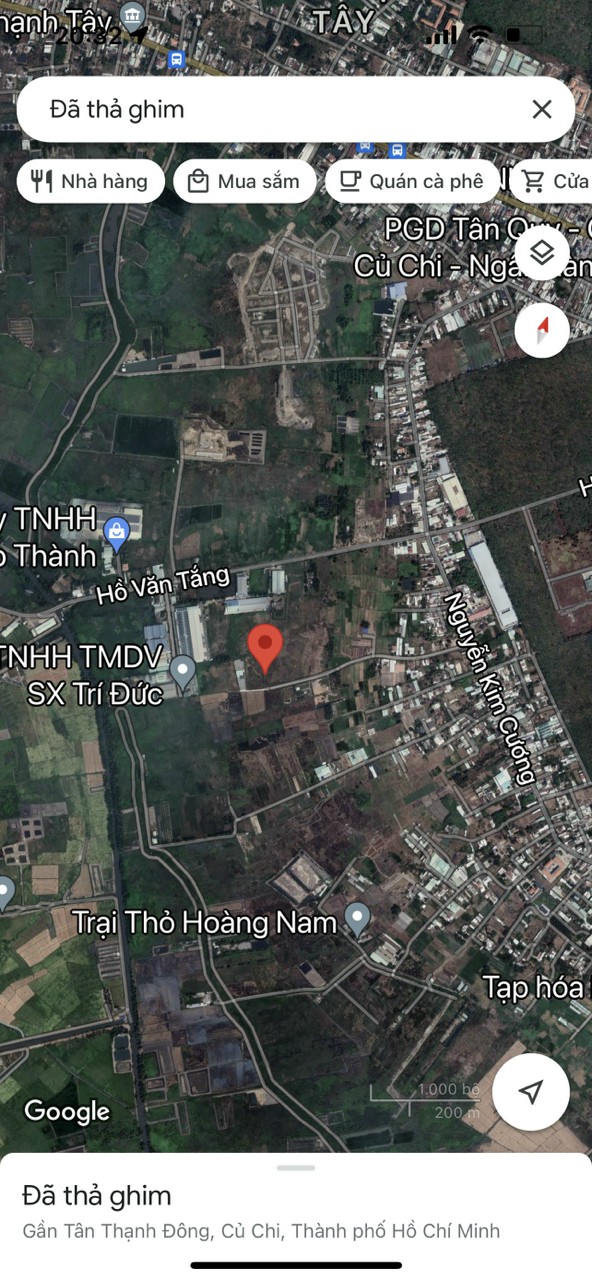 Ảnh 4