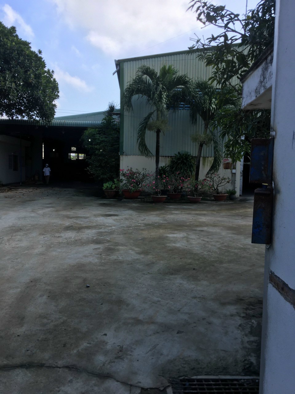 Ảnh 3