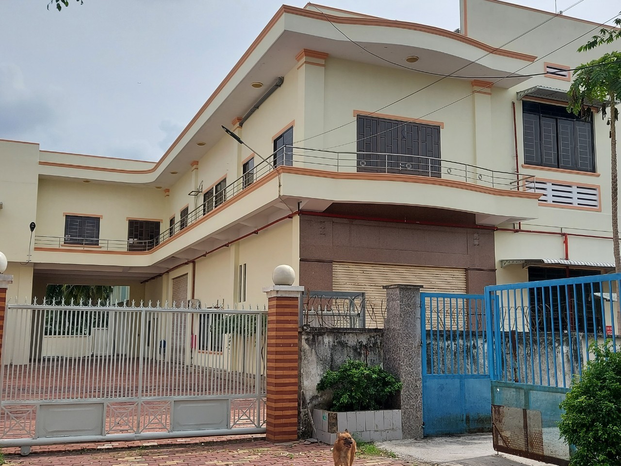 Cho thuê kho xưởng mới 3000m2 MT Quốc lộ 1a, P. Thạnh Xuân, Quận 12.