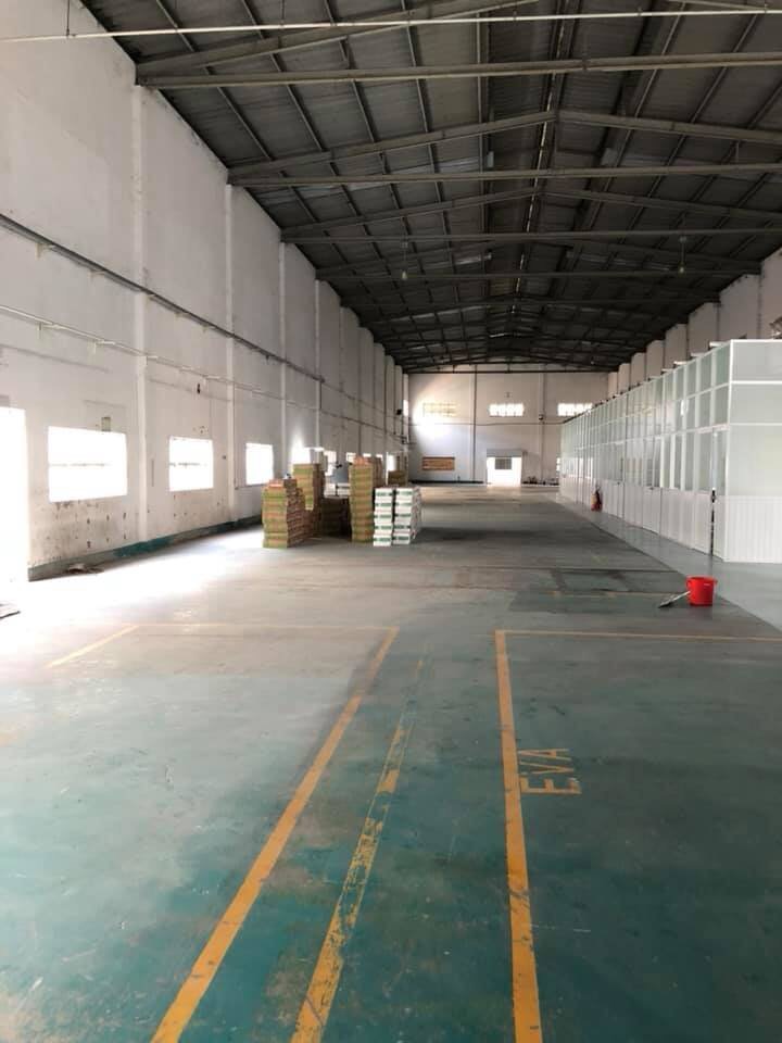 Ảnh 7