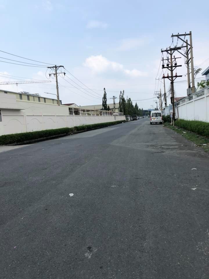 Ảnh 5