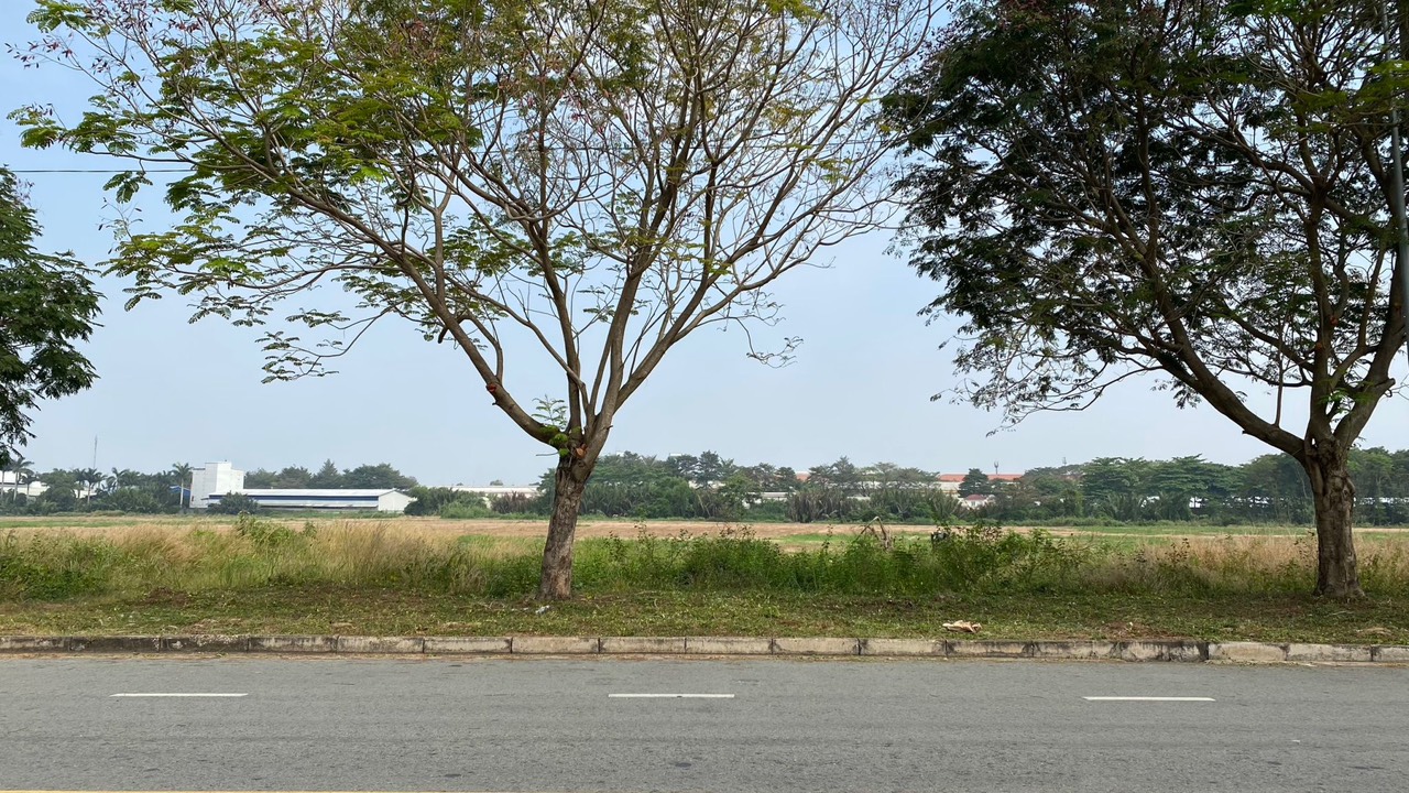 Ảnh 4