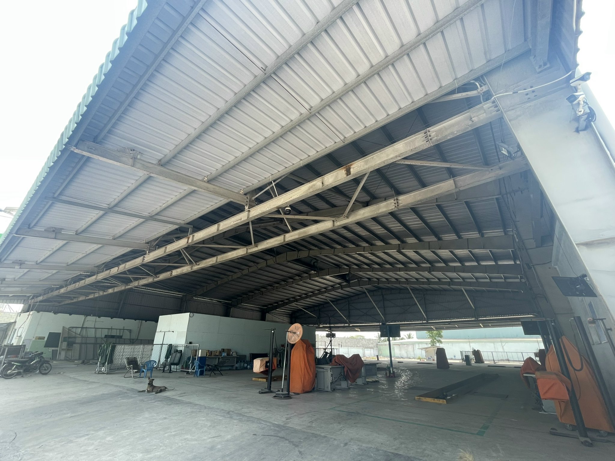Ảnh 2