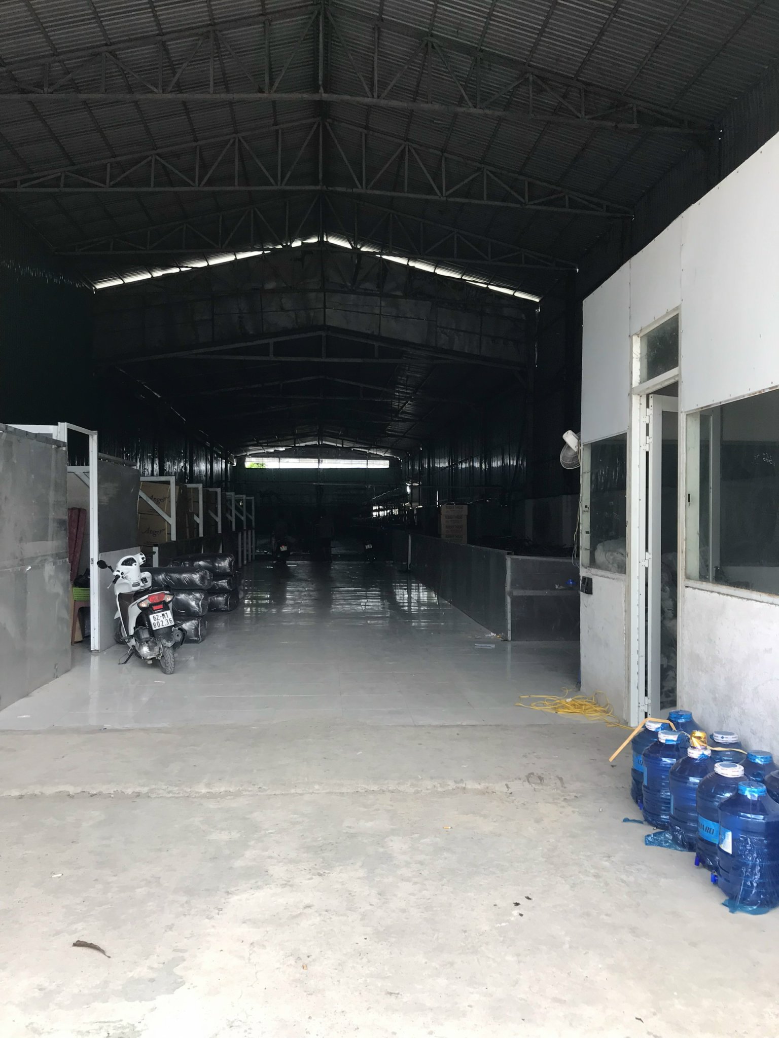 Ảnh 3