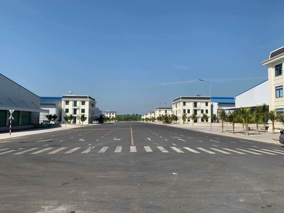 Ảnh 5