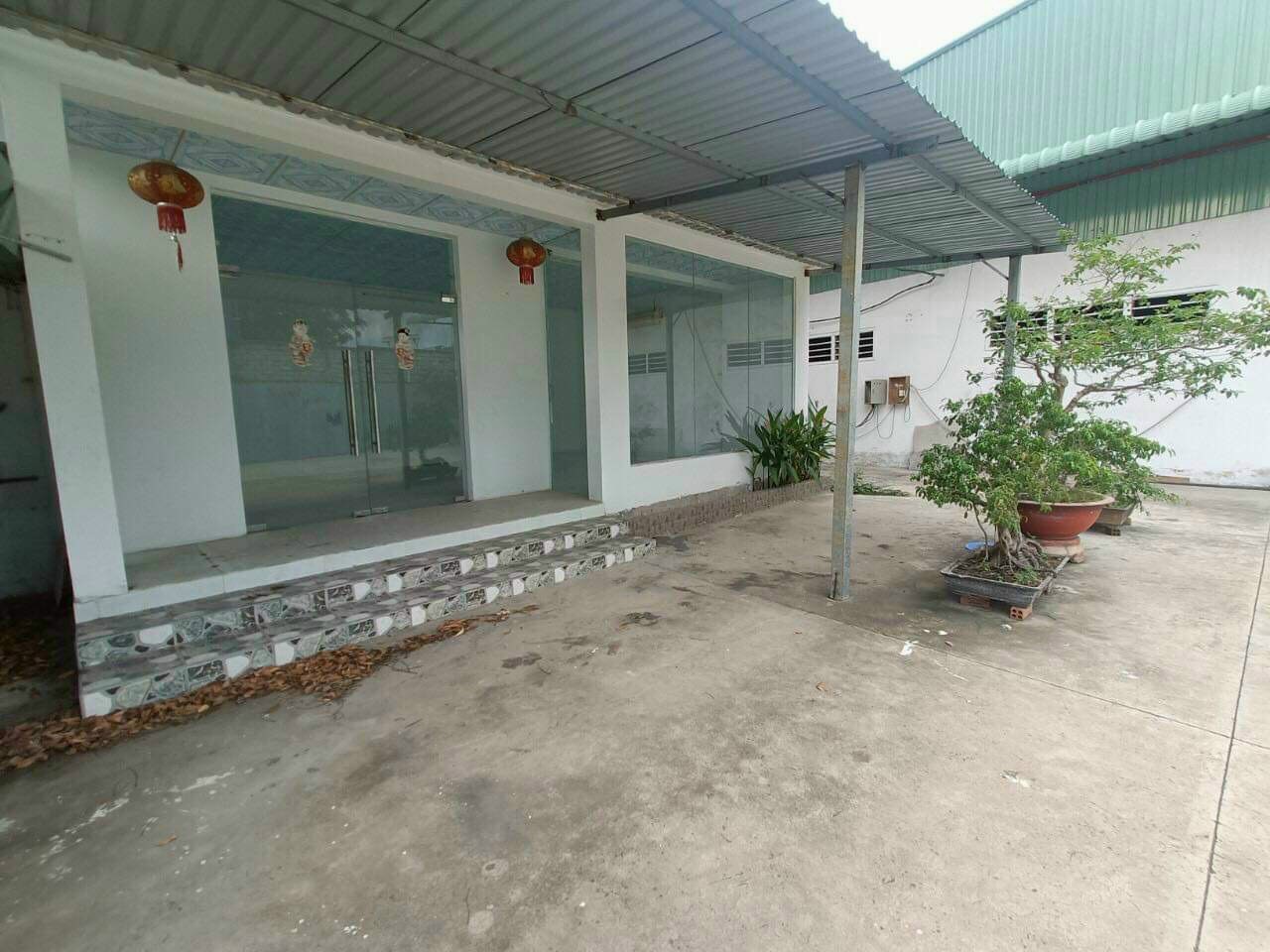 Ảnh 3