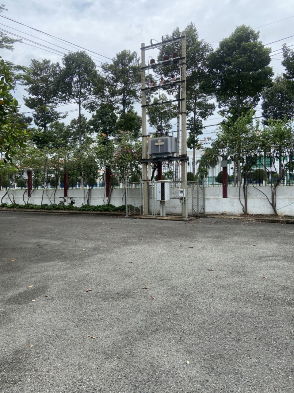 Ảnh 2