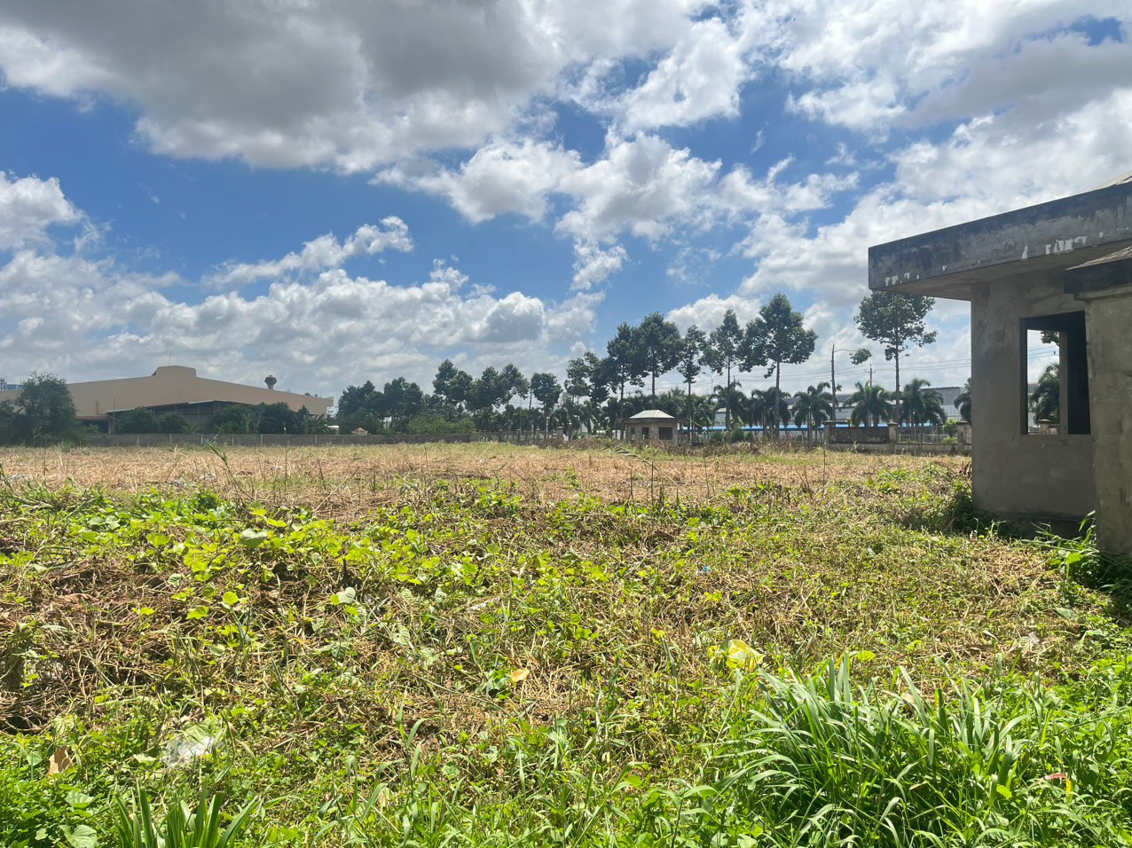Ảnh 3