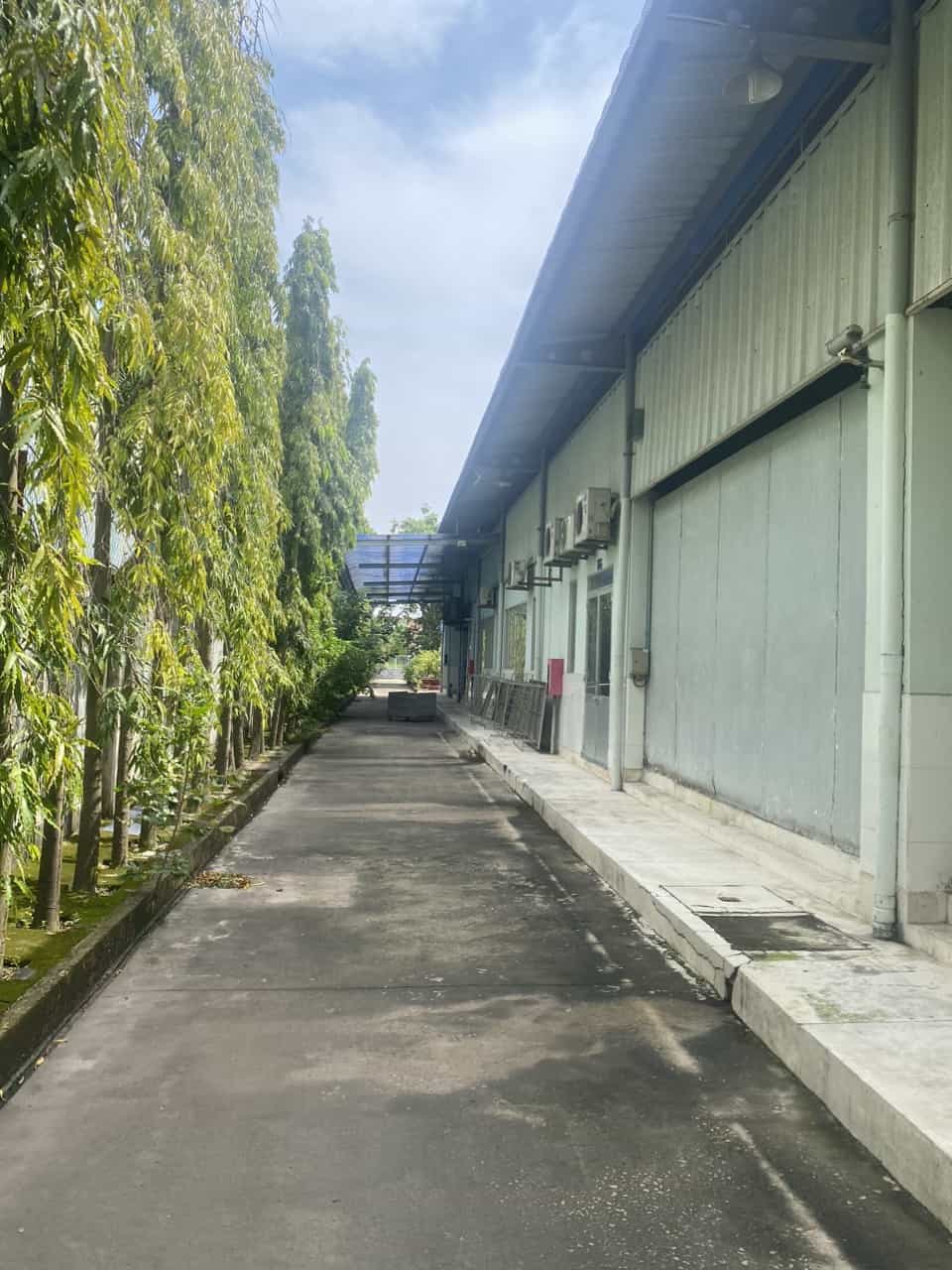 Ảnh 3