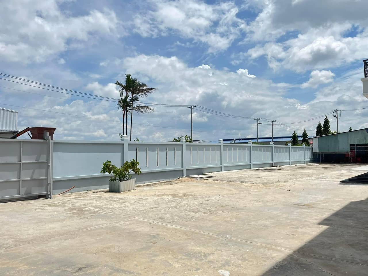 Ảnh 5