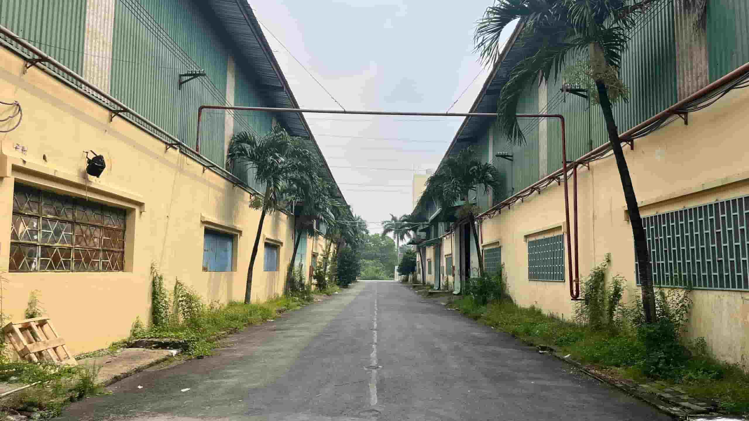 Ảnh 2