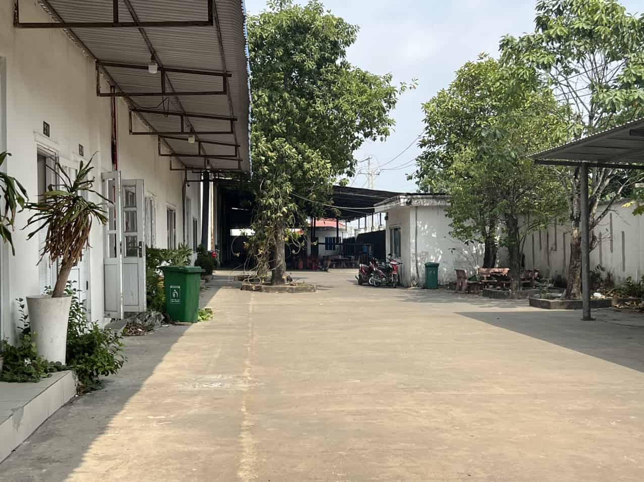 Ảnh 6