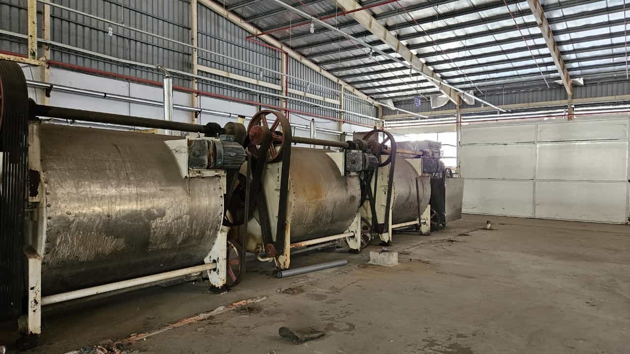 Ảnh 3
