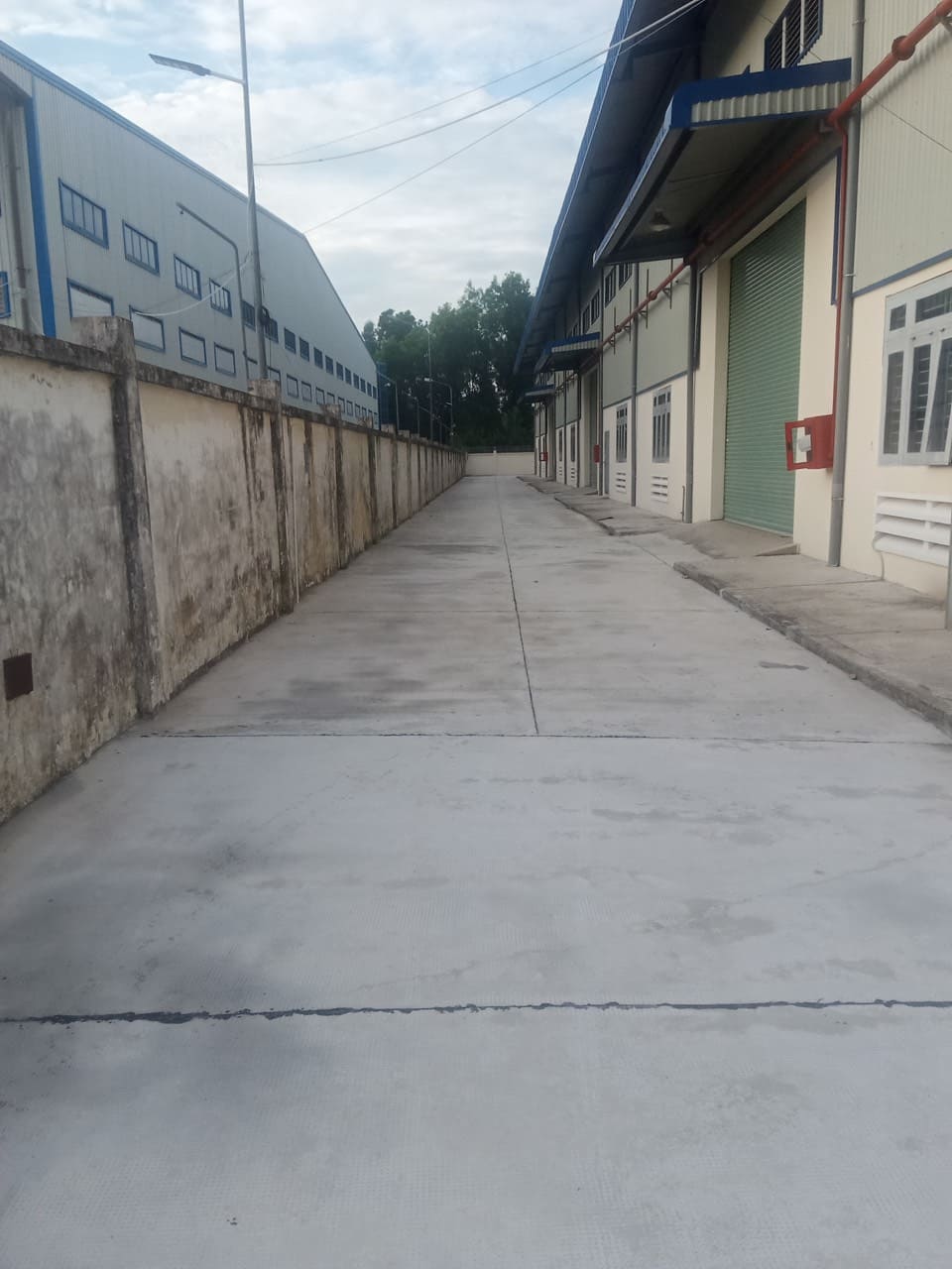 Ảnh 3