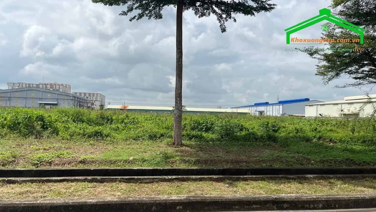 Ảnh 3