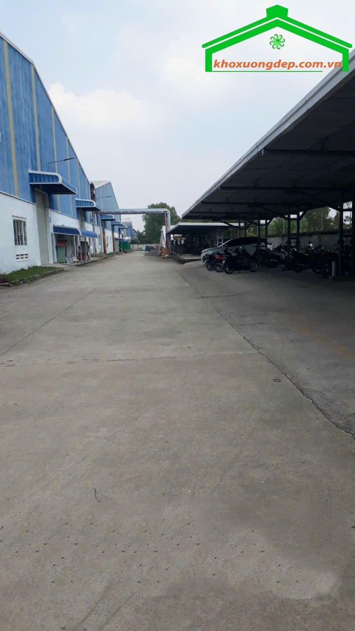 Ảnh 3