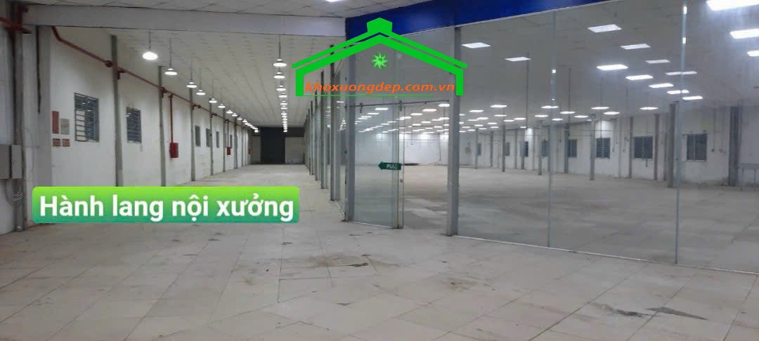 Ảnh 2