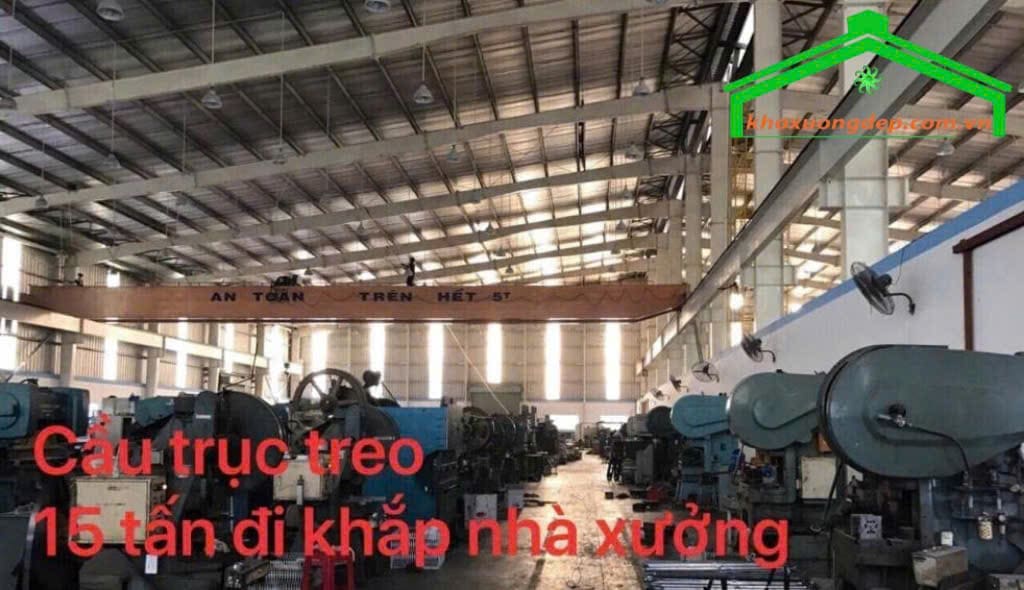 Ảnh 3