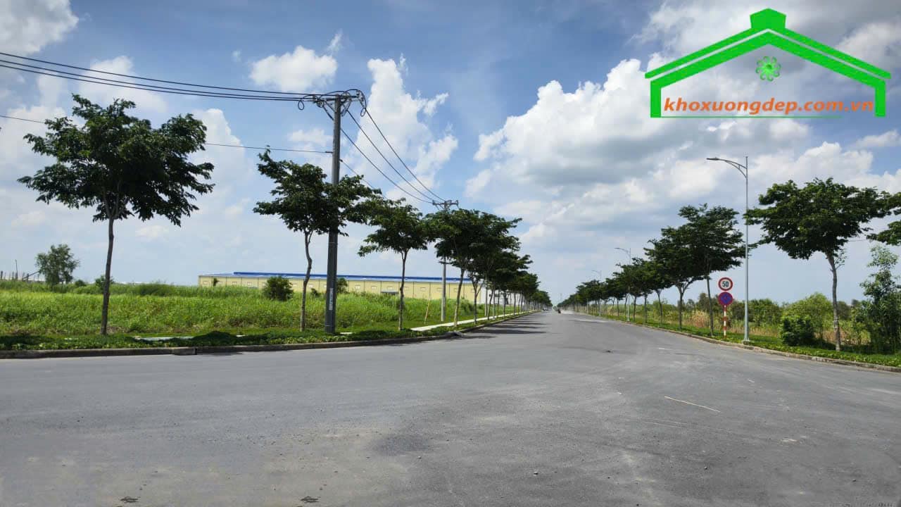 Ảnh 2