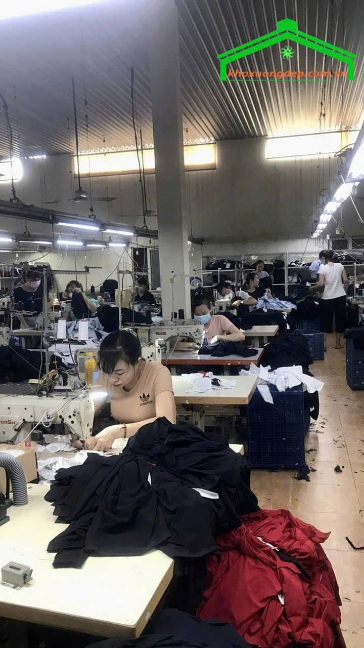 Ảnh 3
